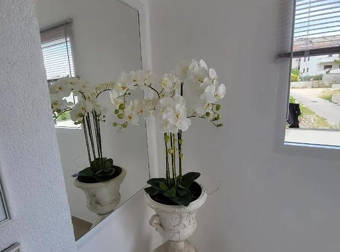 Apartman Maris - Renovated 2026