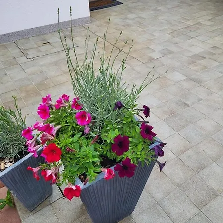 Kaja Apartment Pag Town