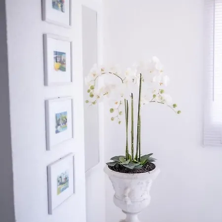 Villa Una Maris - Renovated 2026