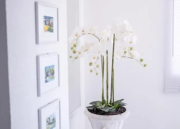 Villa Una Maris - Renovated 2026