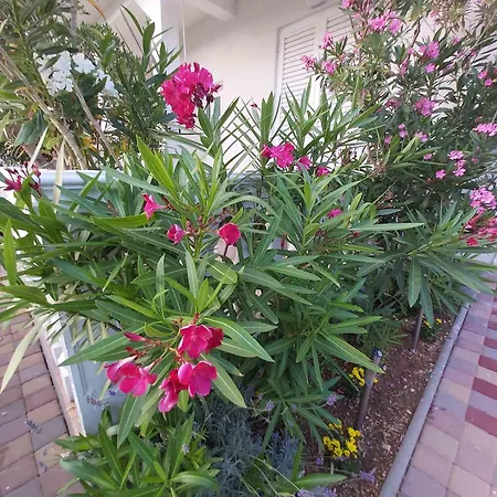 Maris - Renovated 2026 Apartament *