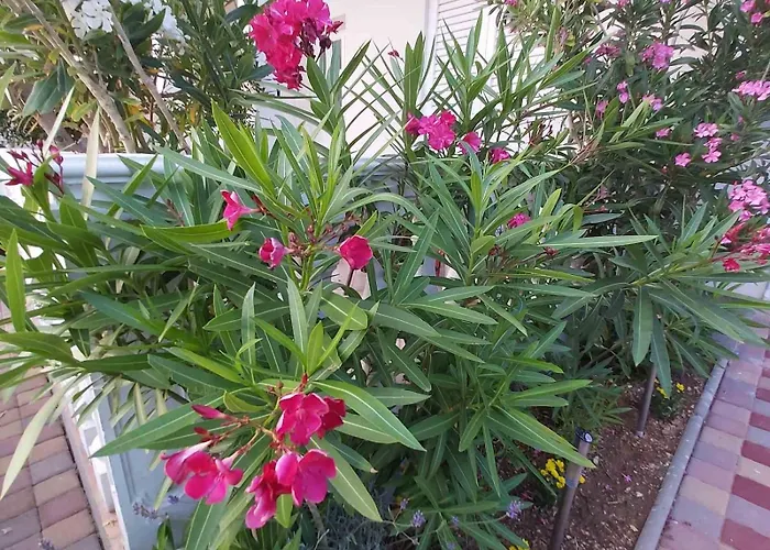 Maris - Renovated 2026 Apartament *